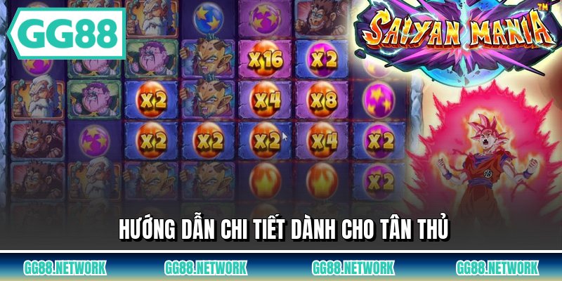 Hướng dẫn chi tiết dành cho tân thủ