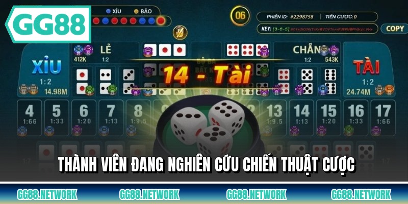Thành viên đang nghiên cứu chiến thuật cược