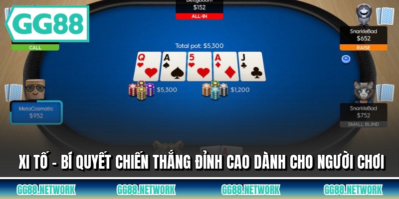 Xi Tố - Bí Quyết Chiến Thắng Đỉnh Cao Dành Cho Người Chơi